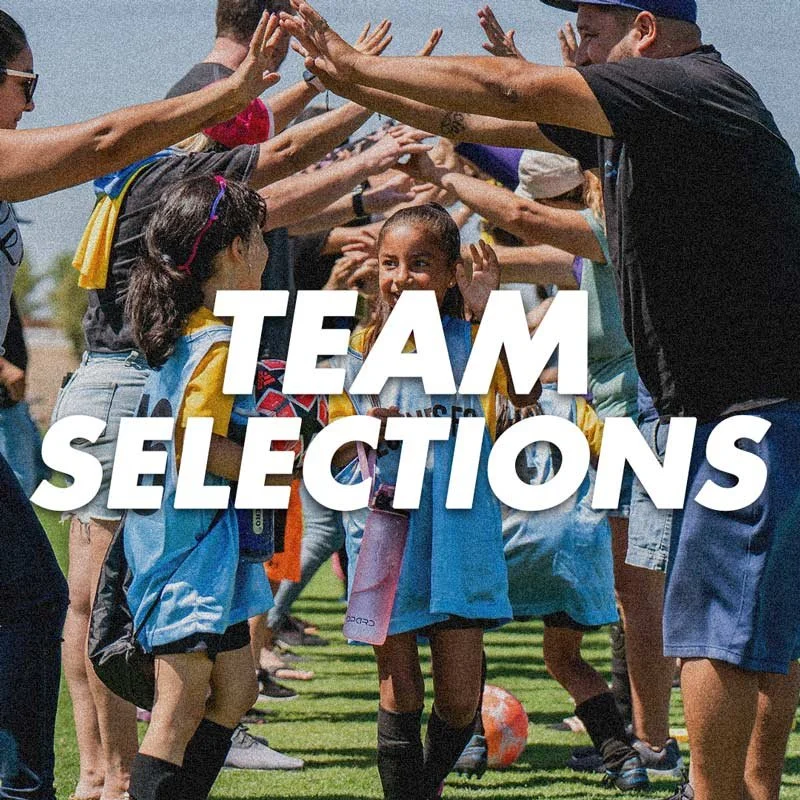 Team Selections Made