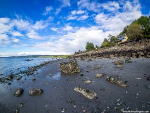 Golden Gardens