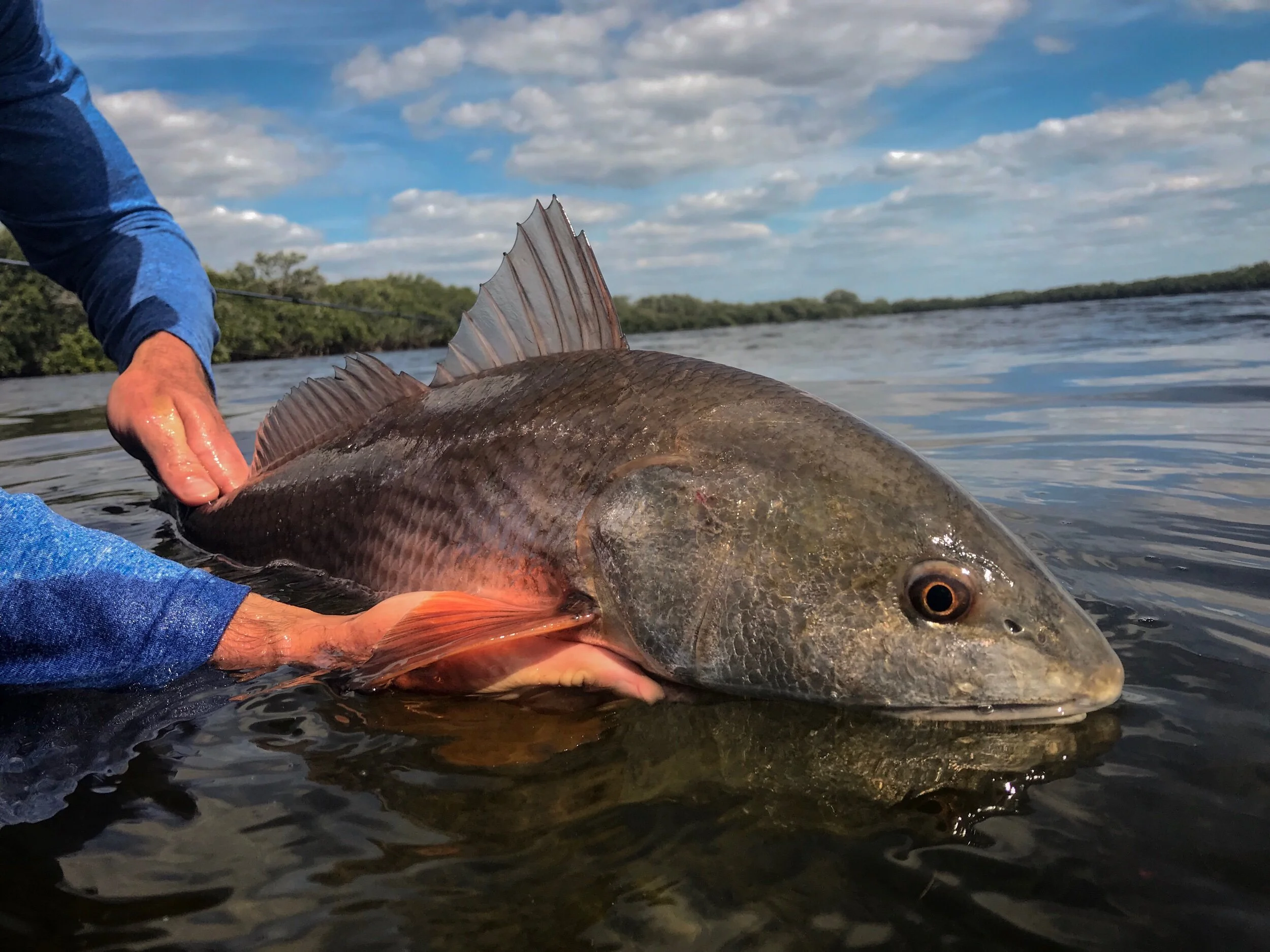 THE GUIDE COMPANY — The Guide Company