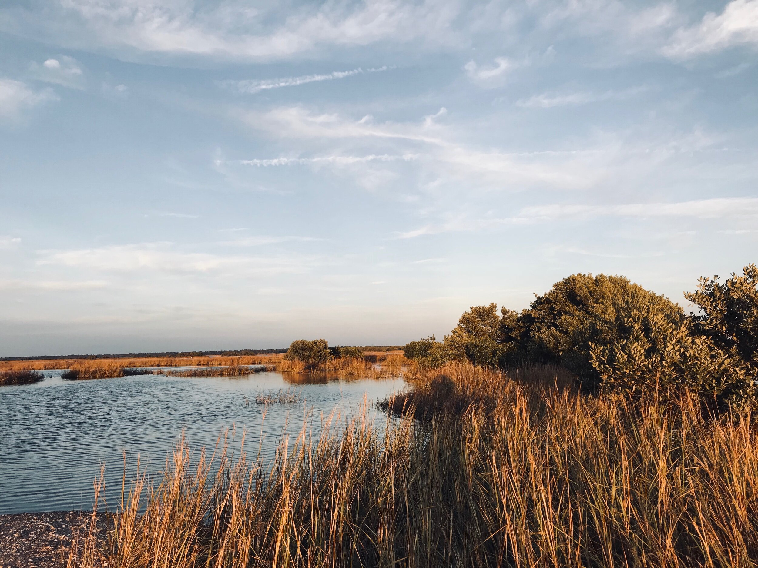 Fly fishing Homosassa