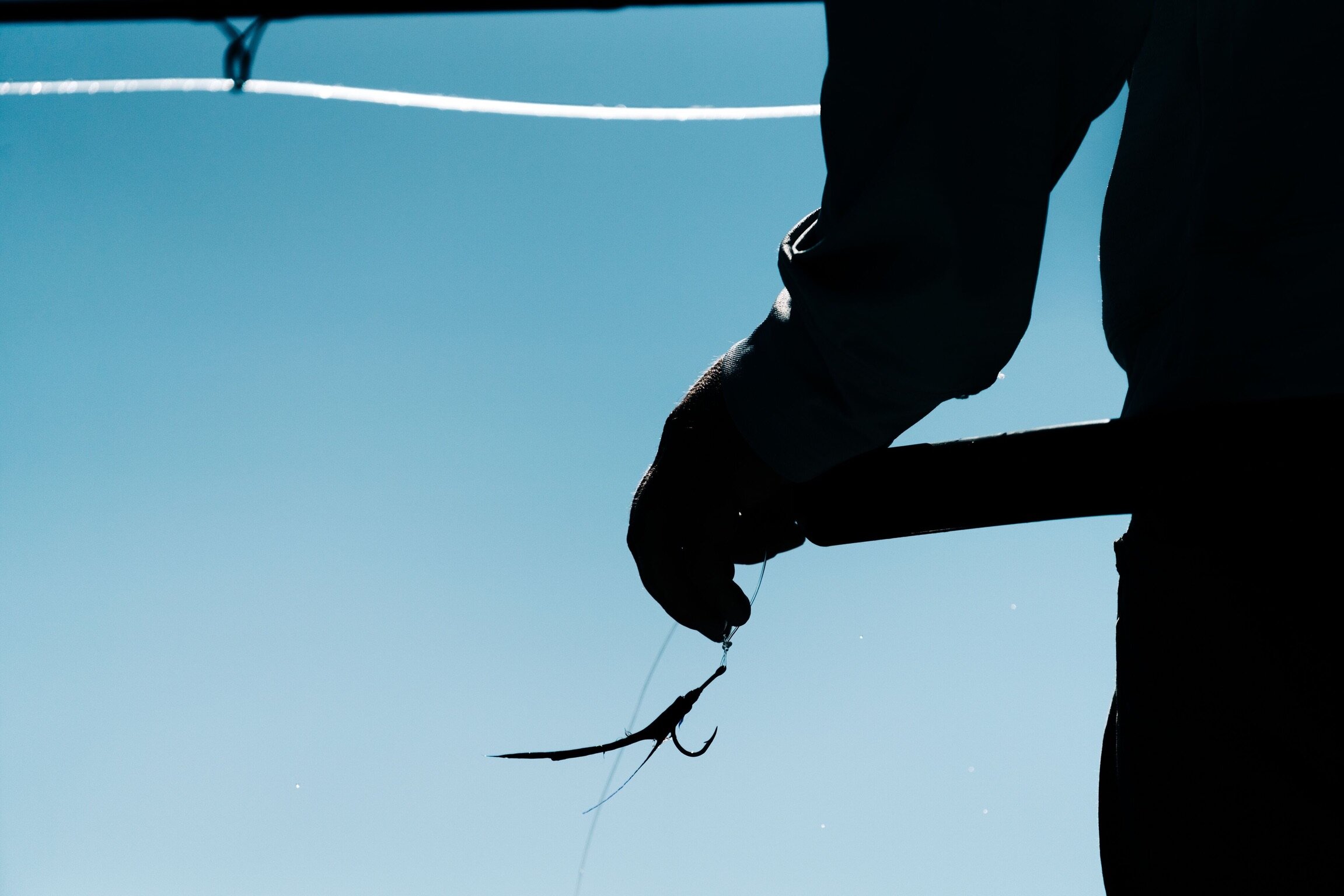 Homosassa tarpon fishing