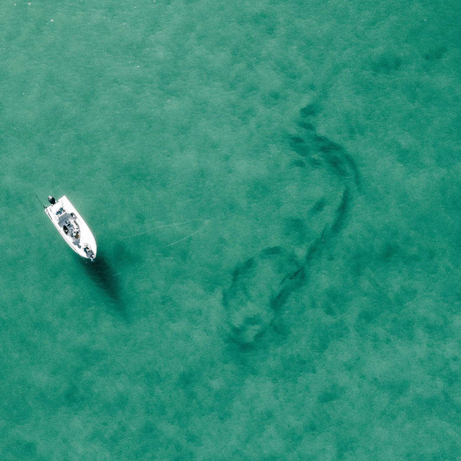 3 REASONS TO GET ON THE WATER THIS SUMMER