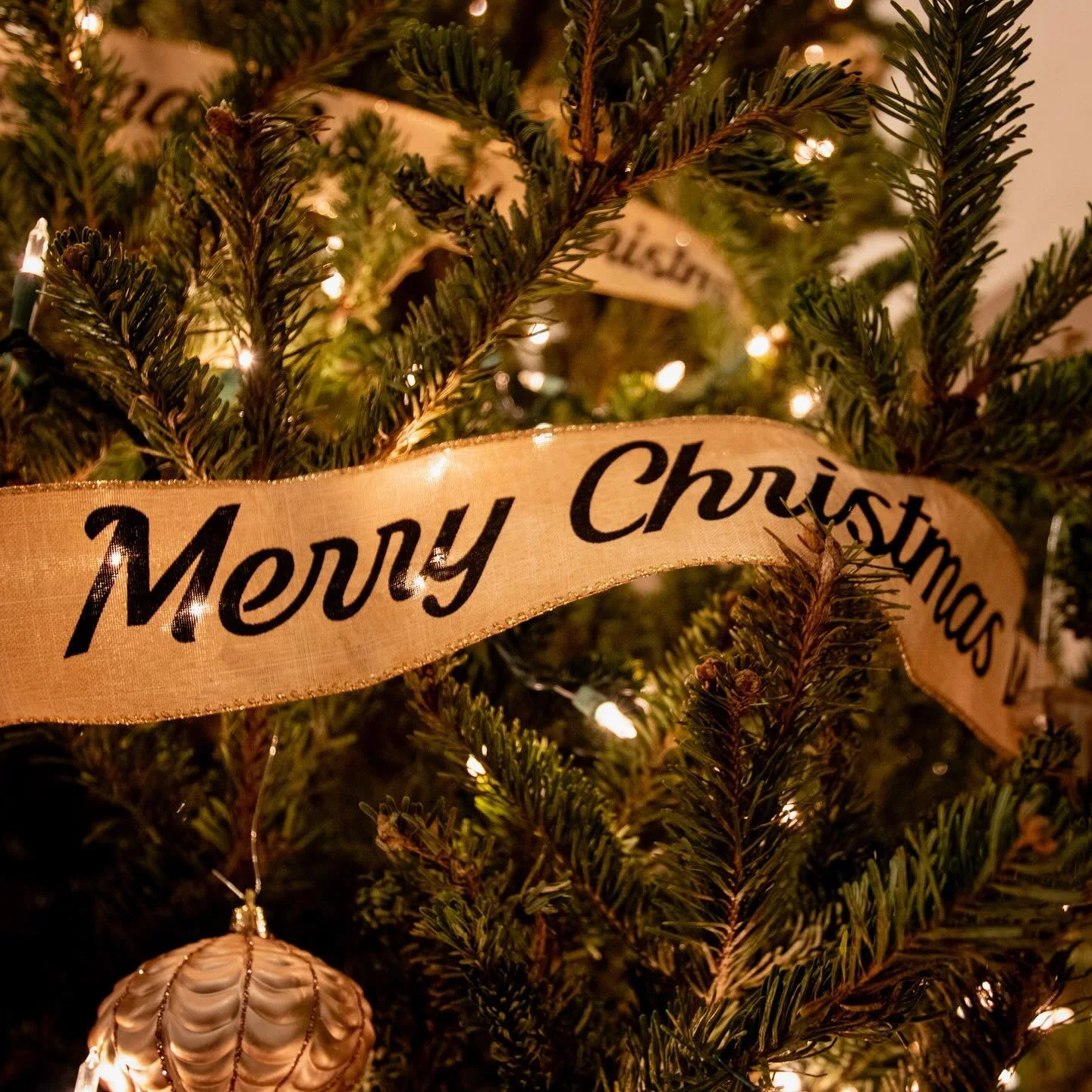 Continuing our year long celebration of our 10th year in business, we are looking forward to another busy holiday season!🎁 Our promo for the month of September is 10% off* your holiday party! Maybe it&rsquo;s a small gathering of friends, or a large