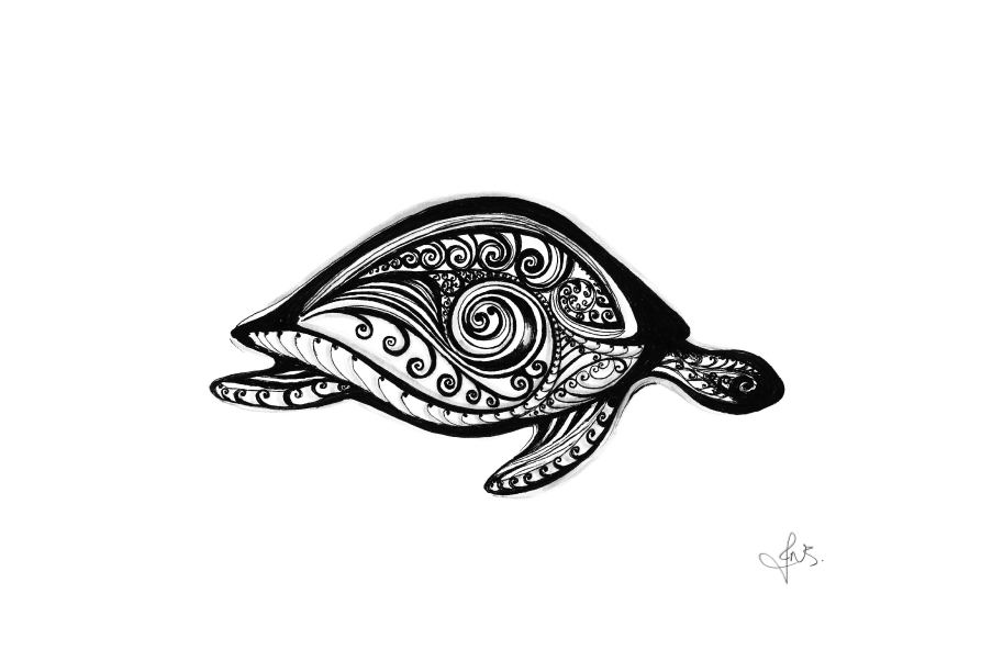 Turtle 