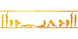 Sun Salutations Class  