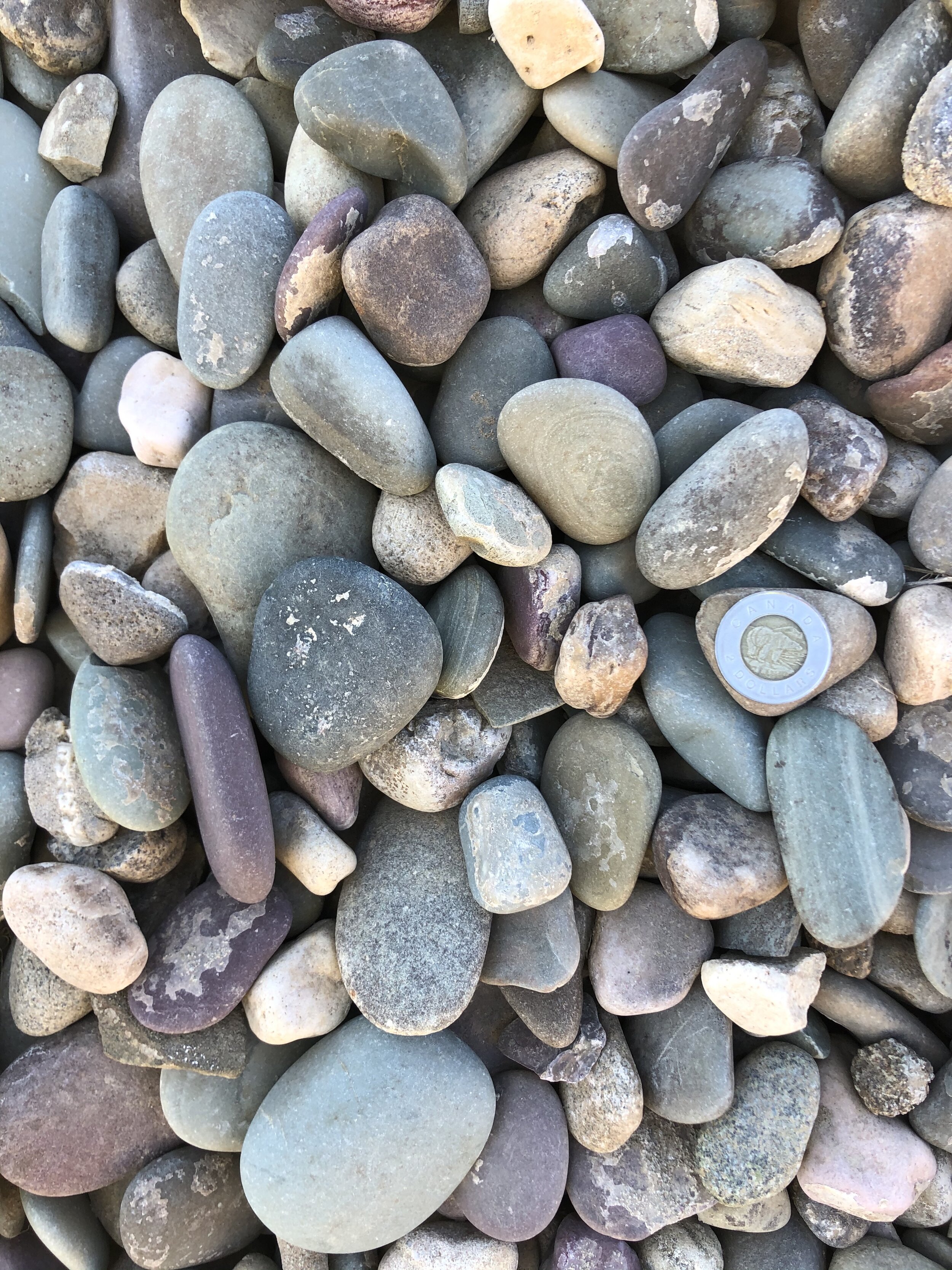 50 mm Round Landscape Rock