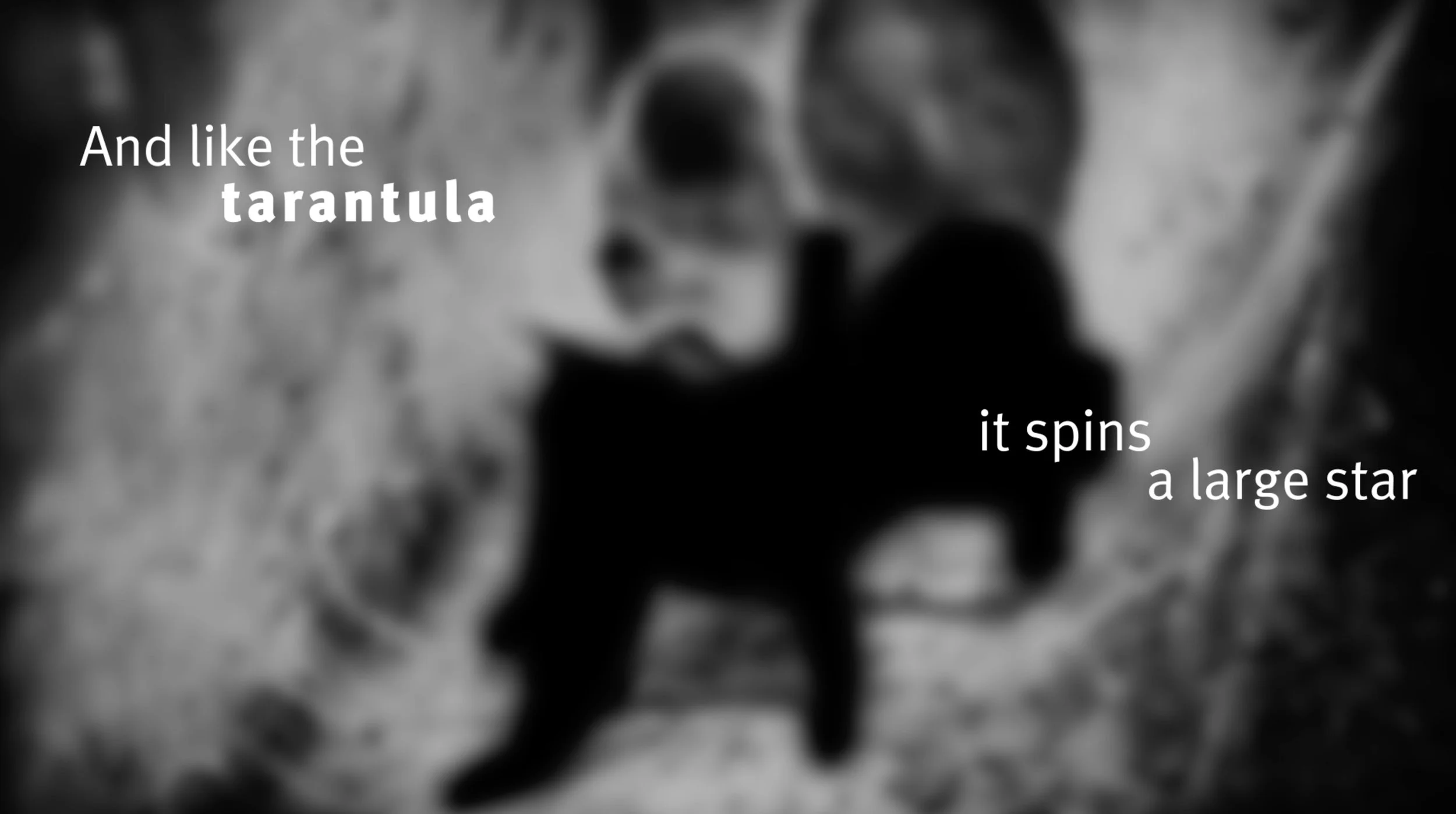 still_lorca.jpeg