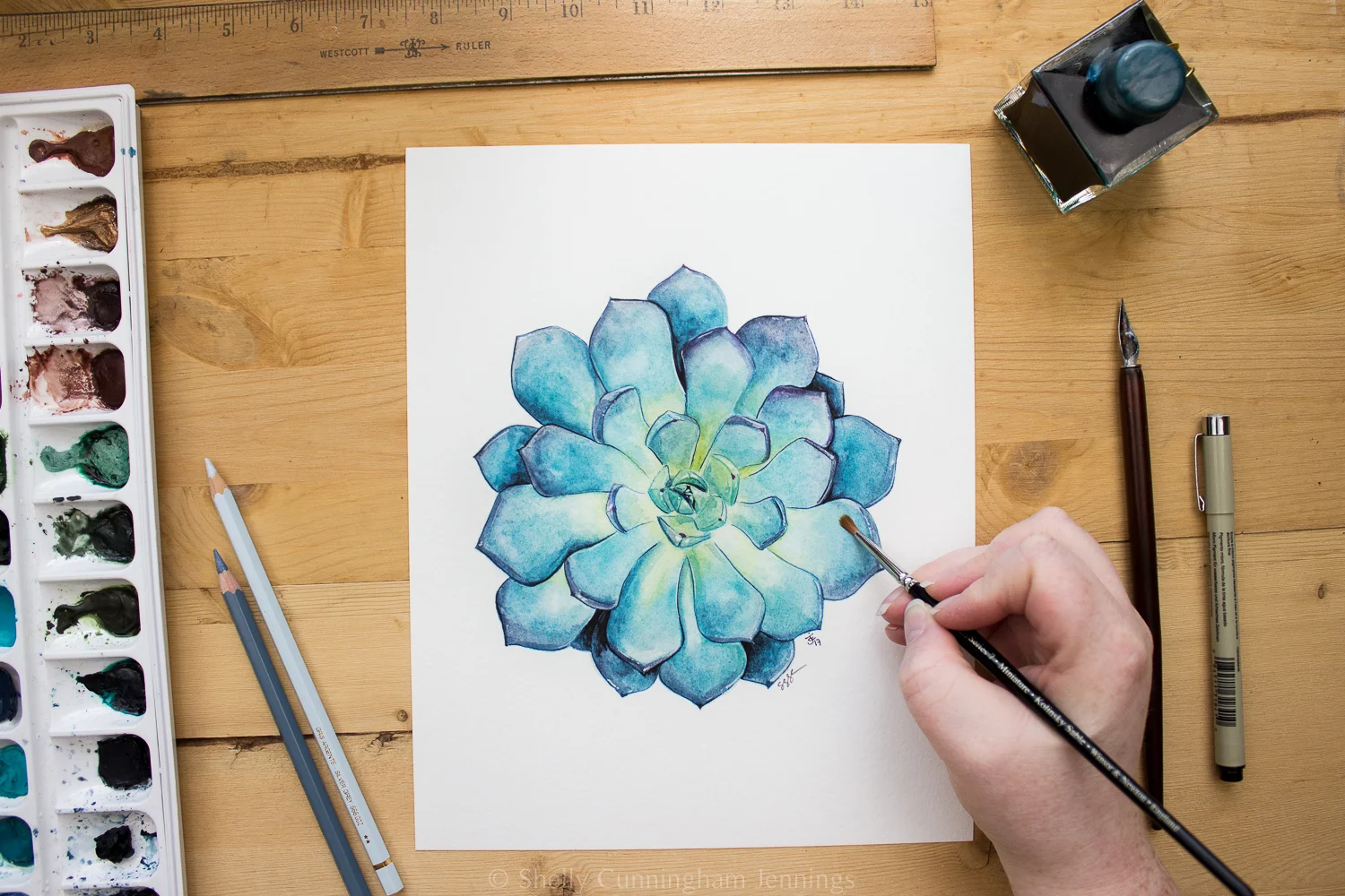 "Succulent 1" Watercolor on watercolor paper. Prints available.