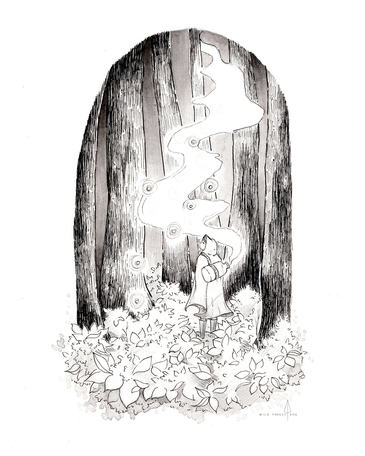 Wisp