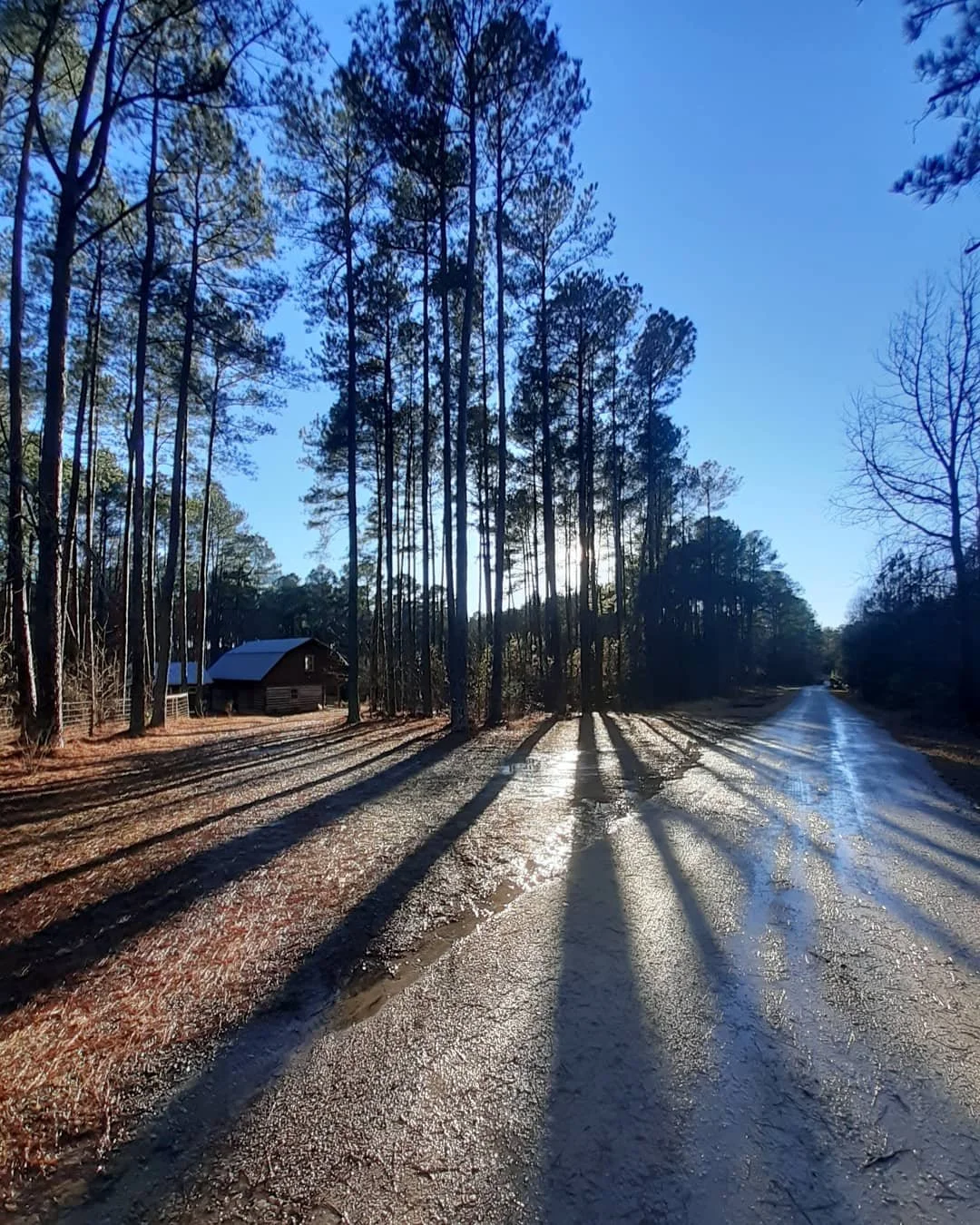 winter scene of SkyPond Cary, NC