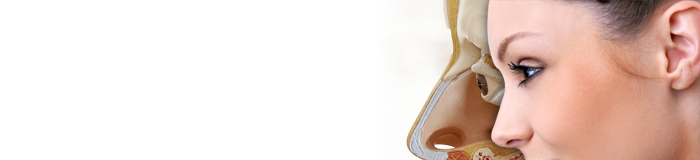 banner.png