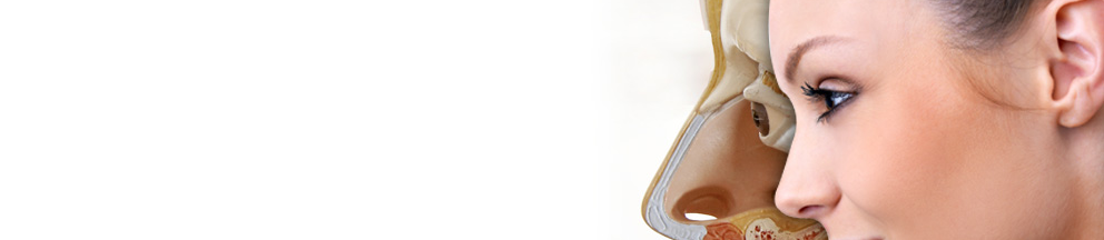 banner.png
