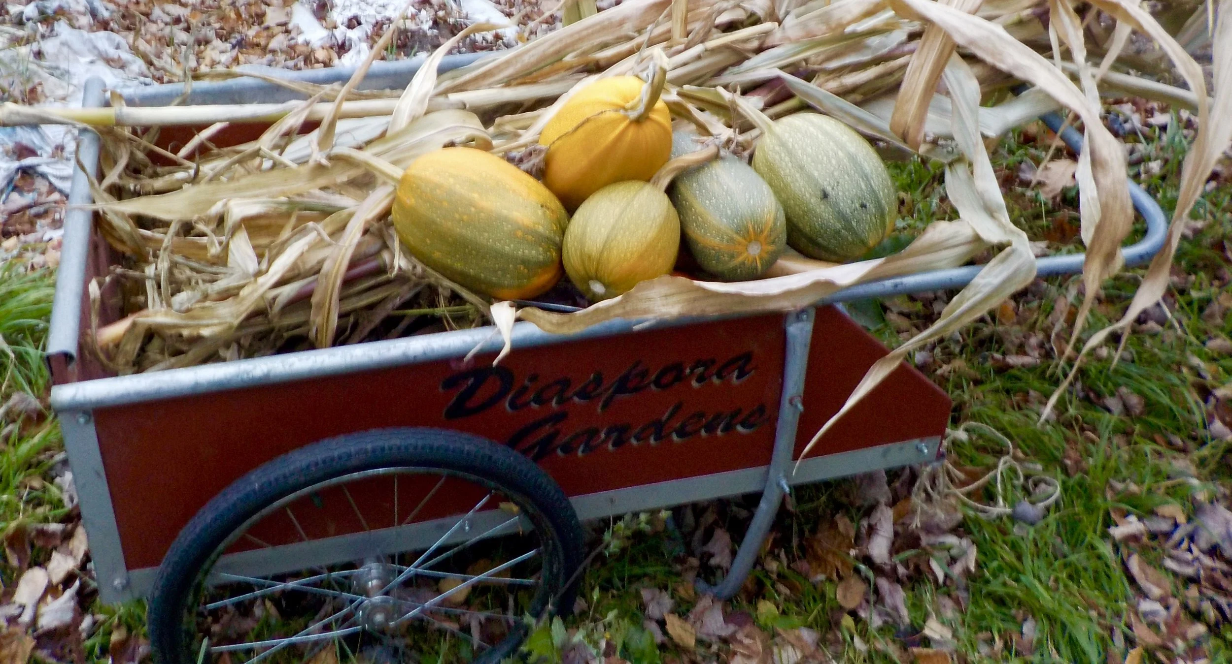 To Repair Our Lives - Early November, 2021