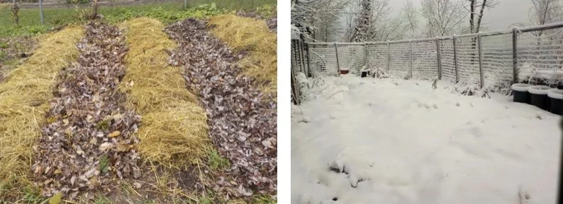 Final 2021 To Repair Our Lives (In 2022)