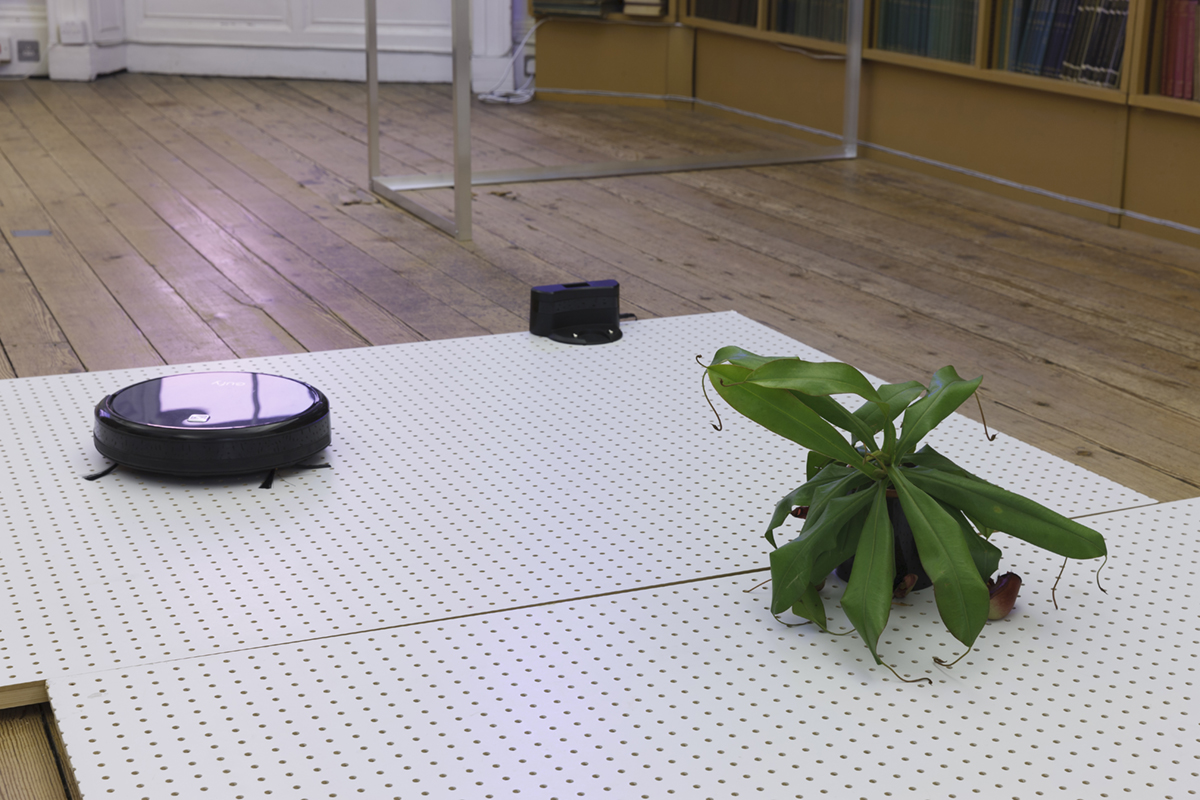 Shifting forms , 2018 Aluminium, UV fly zapper, glass jar, fly larvae, electrical cable, pegboard, robotic vacuum cleaner, carnivorous plants (nepenthes, sarracenia and pinguicula) (detail)