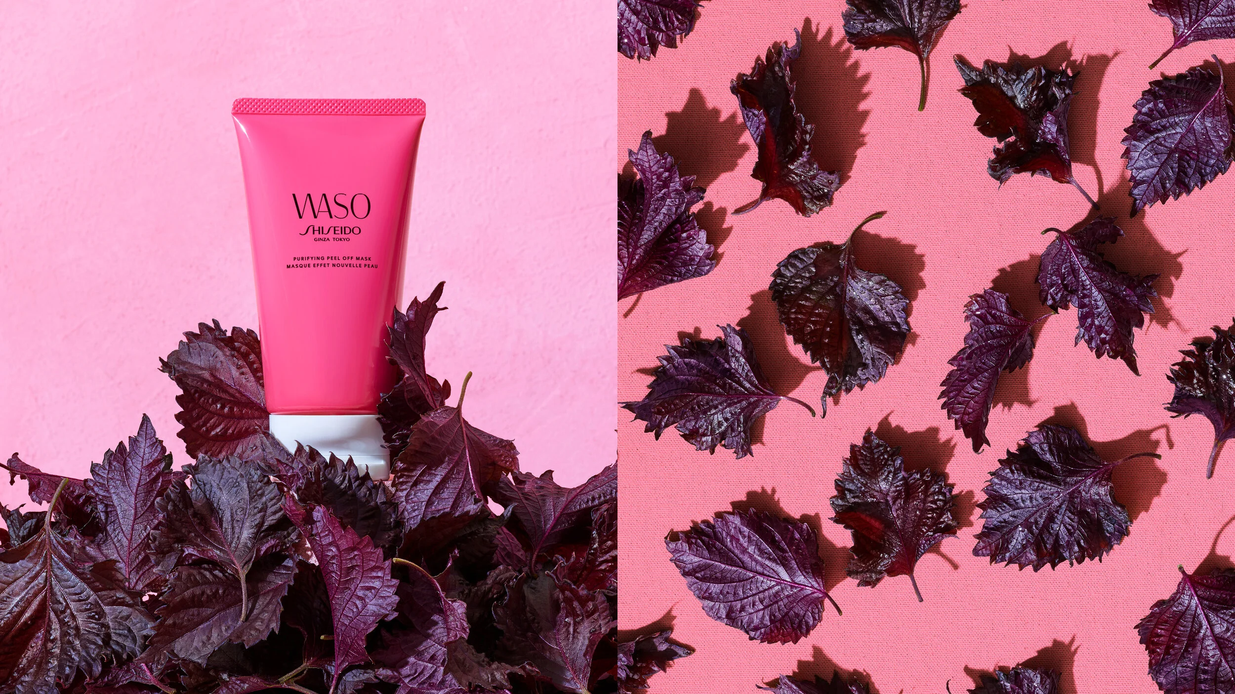 Product Photographer: Kosuke Matsuo