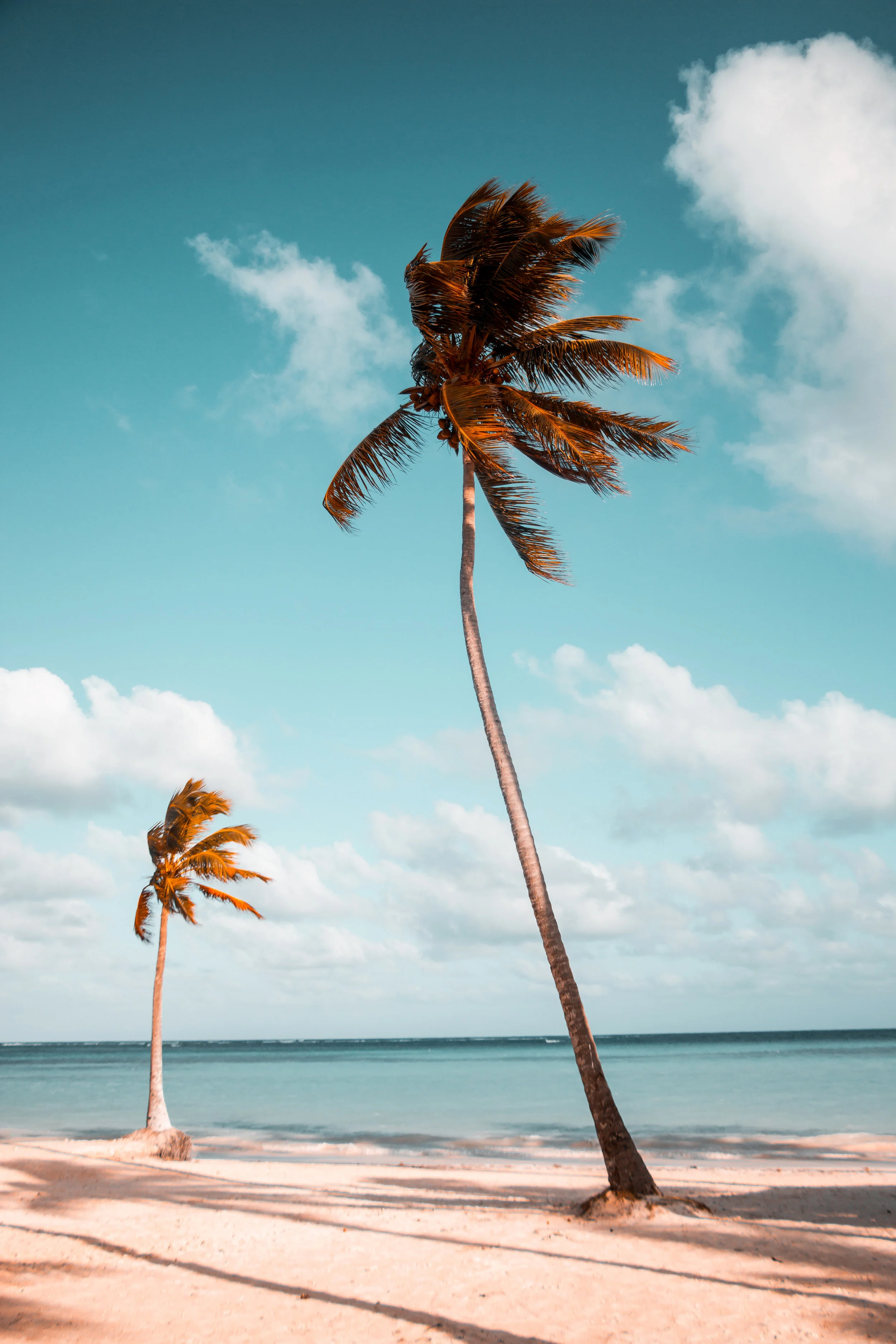 The Joy Factor and Resilience - Part 2