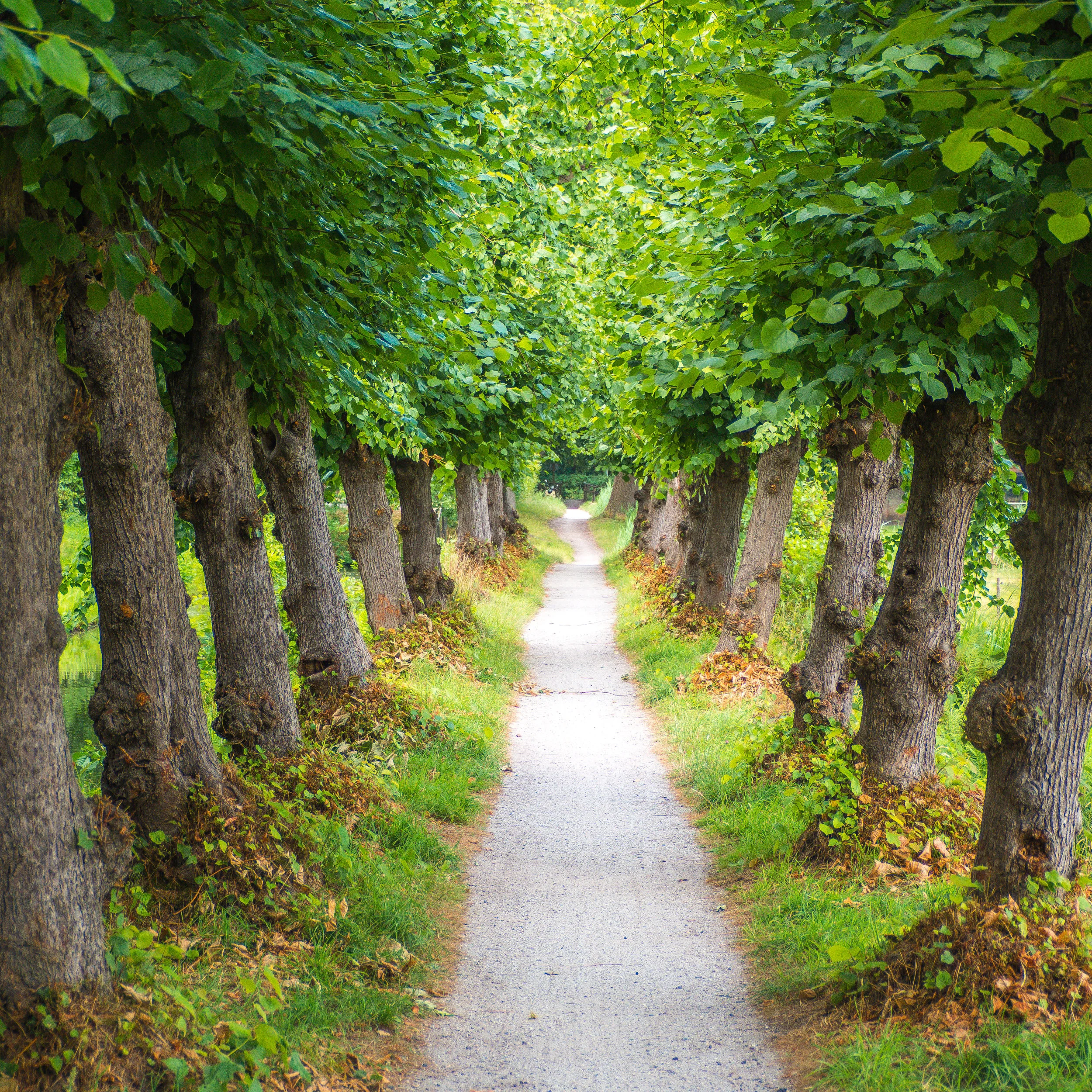 The Joy Factor and Resilience - Part 4