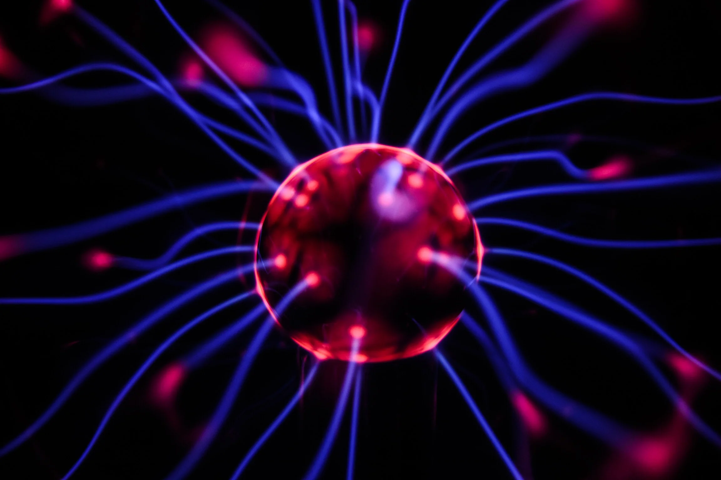 Hard-wired Emotional Circuits in the Brain?  Yep.