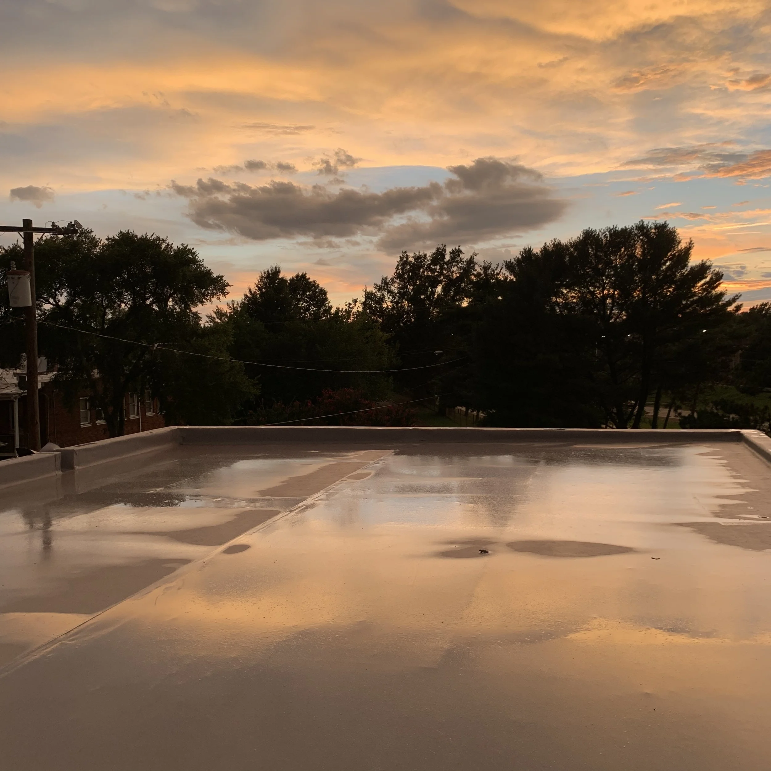 Roof 02.JPG
