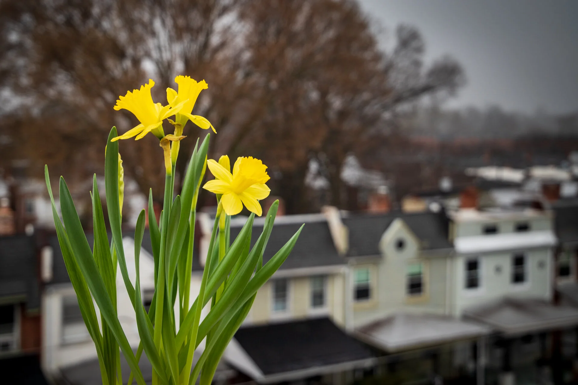 1103 - Rooftop.jpg