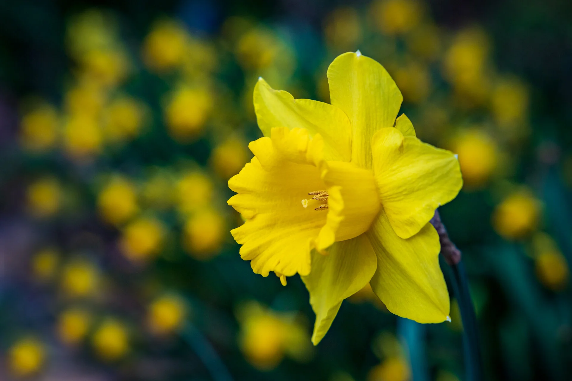 1308 - Stand Out.jpg