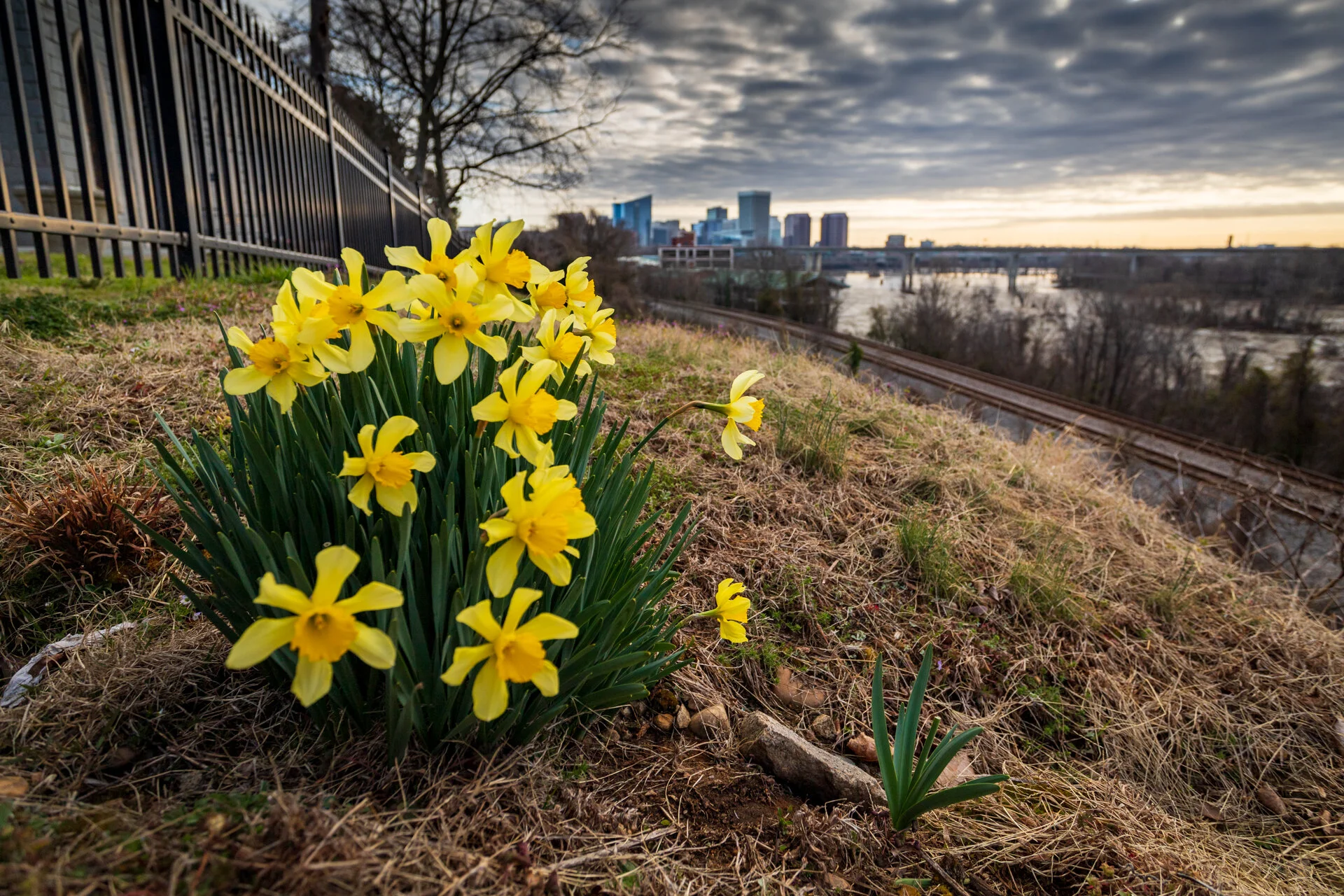 1382 - Skyline View.jpg