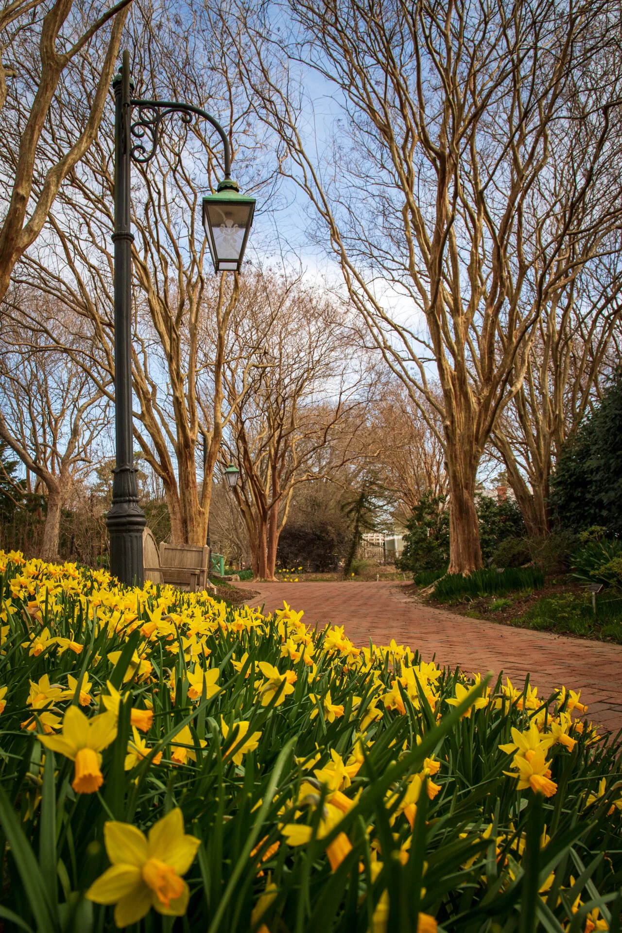 1422 - Light the Way.jpg