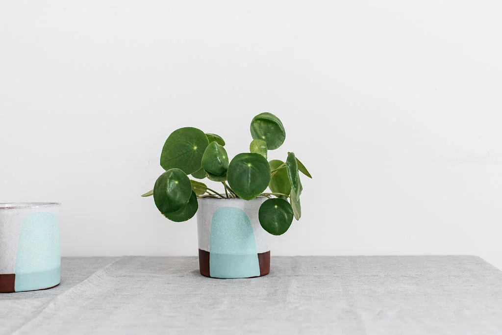 Terracotta ceramic small pot, colour pot, Silvia K Ceramics, Kamodyova, contemporary pot, pottery, ceramic plant pot