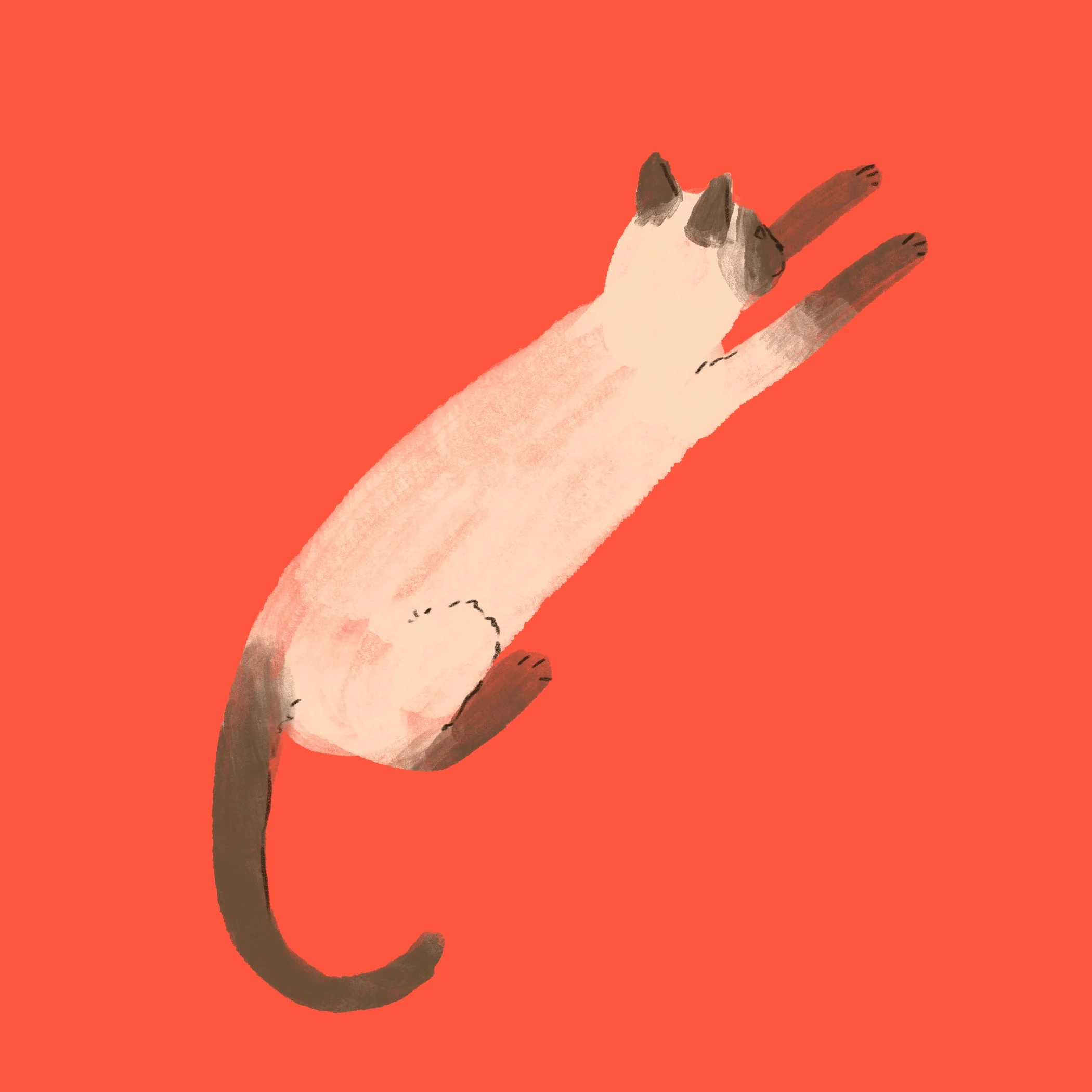 Lou 2.jpg