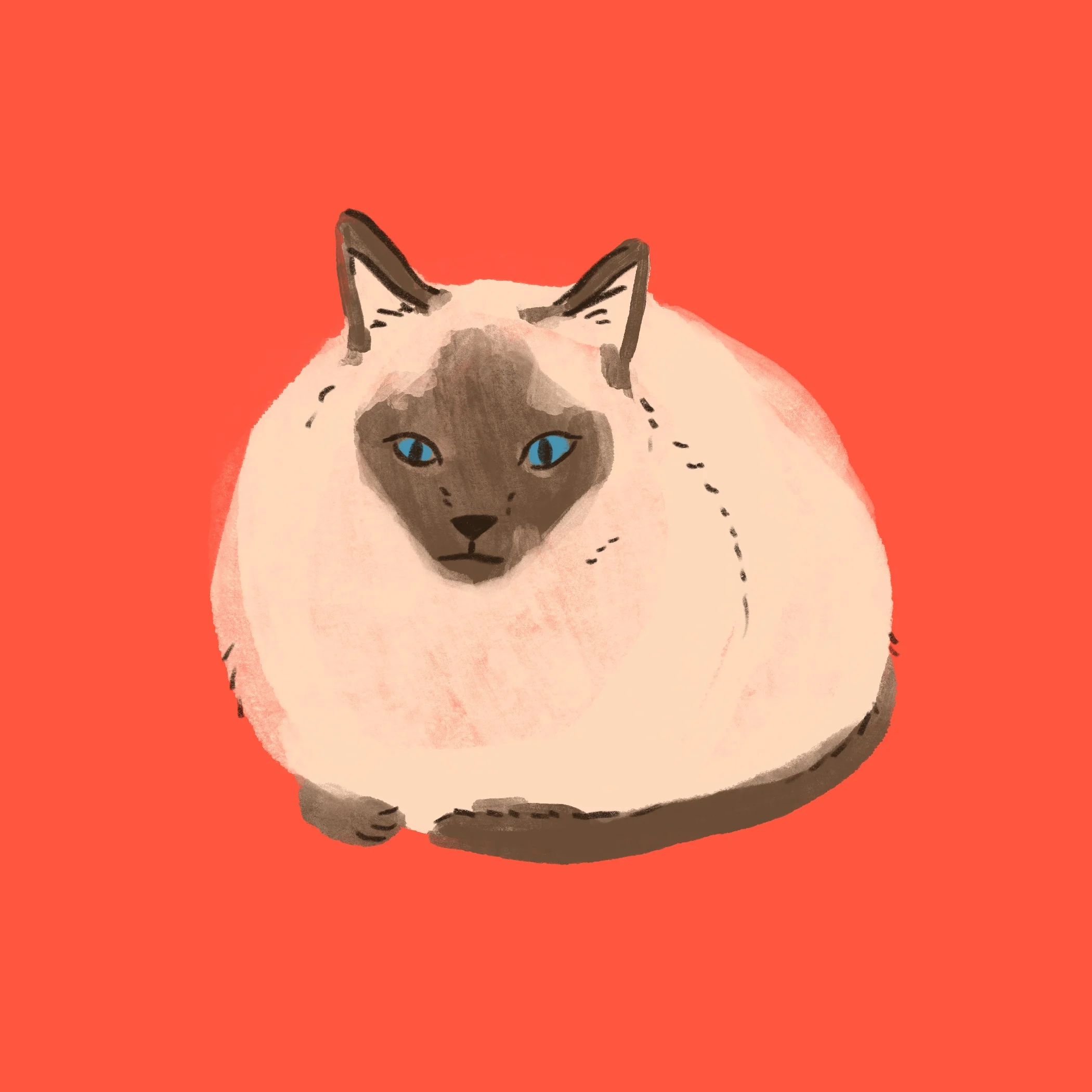Lou.jpg