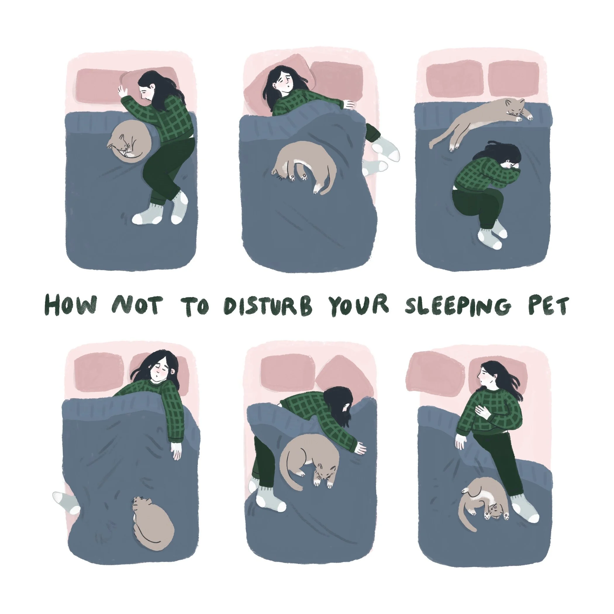 Semihandmade_Sleeping_Pet.jpg