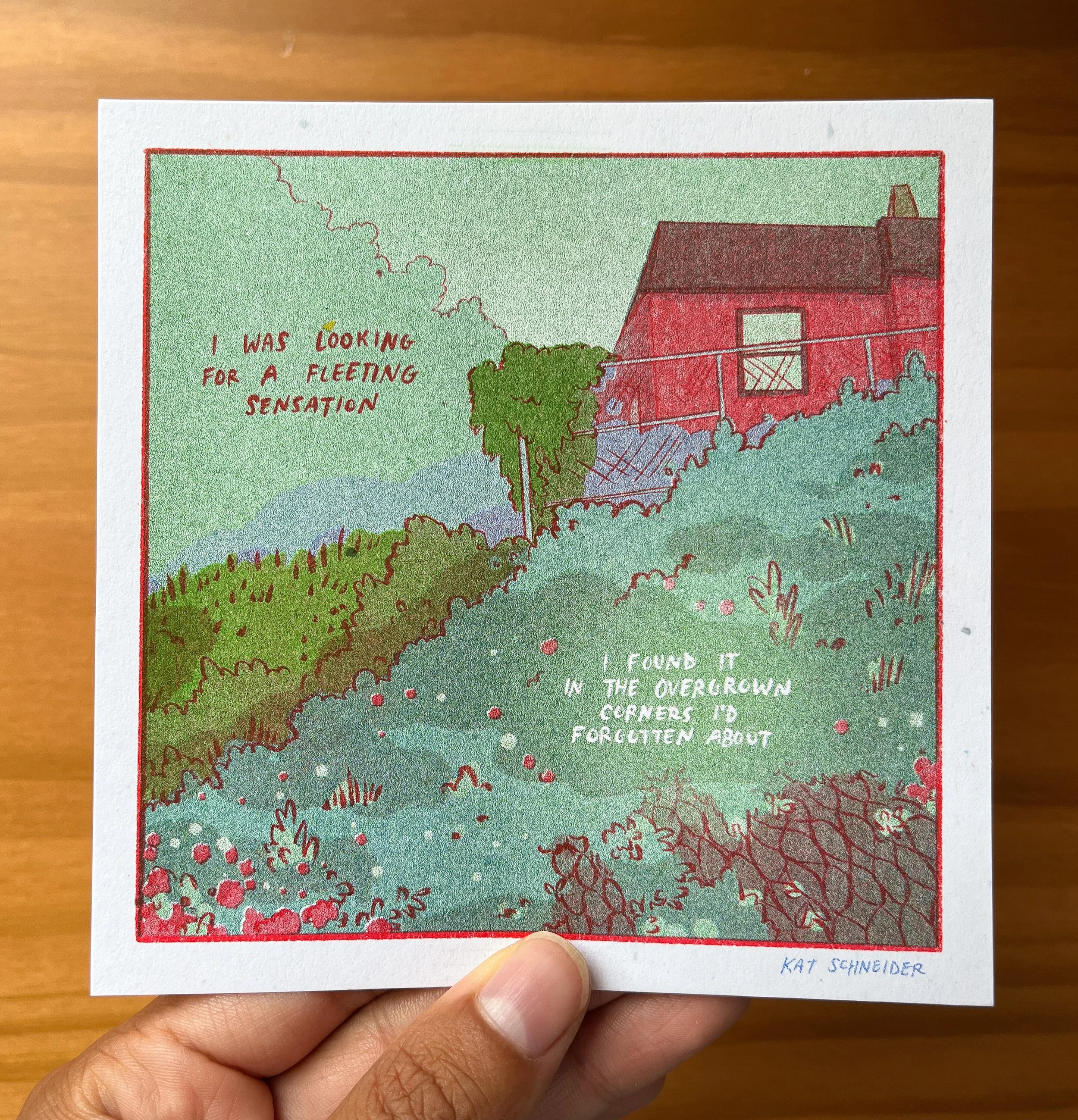 Overgrown-crop.jpg