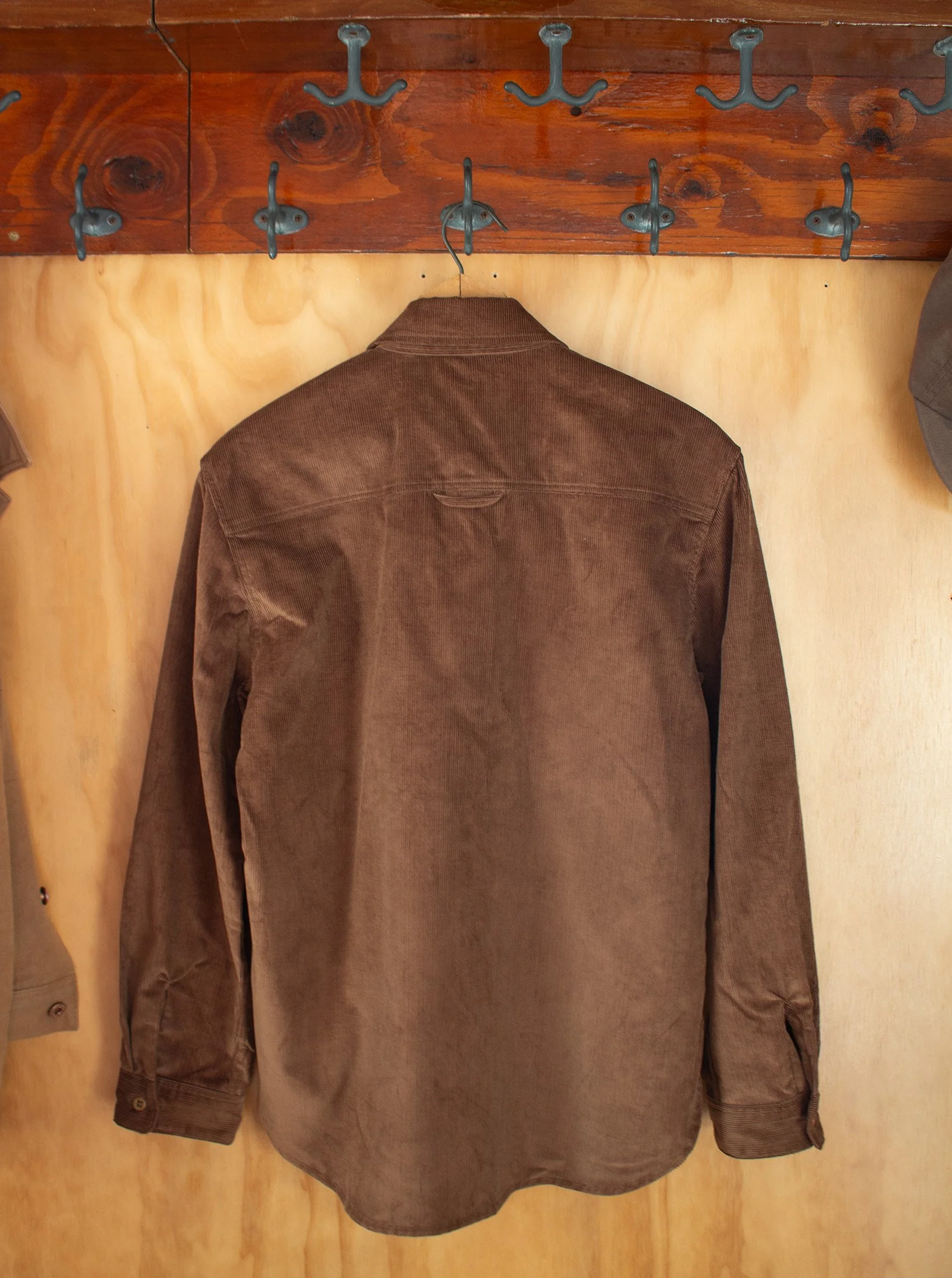 lightbrown_grove_2.jpg