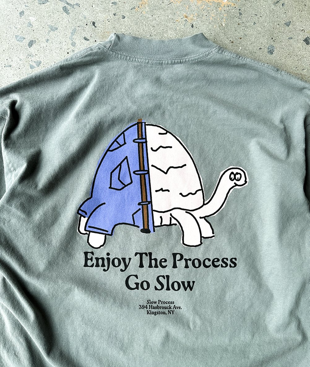 turtle_tee_back_detail.jpg