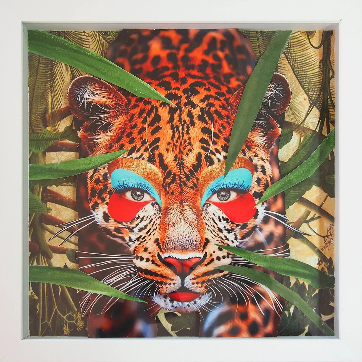 Animalia #1