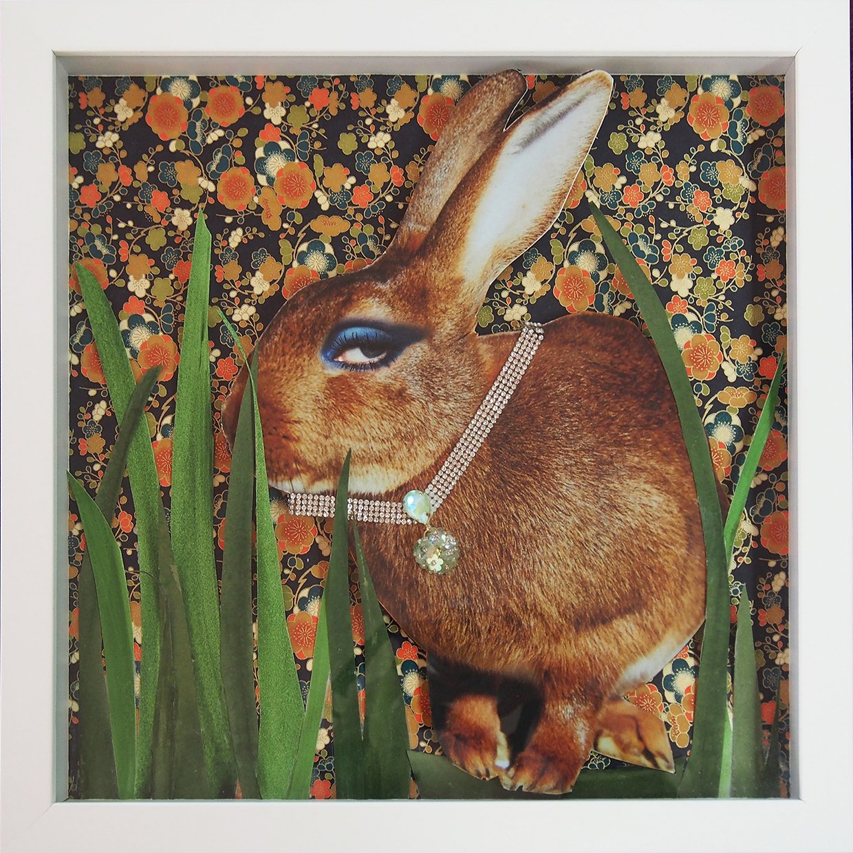 Animalia #5