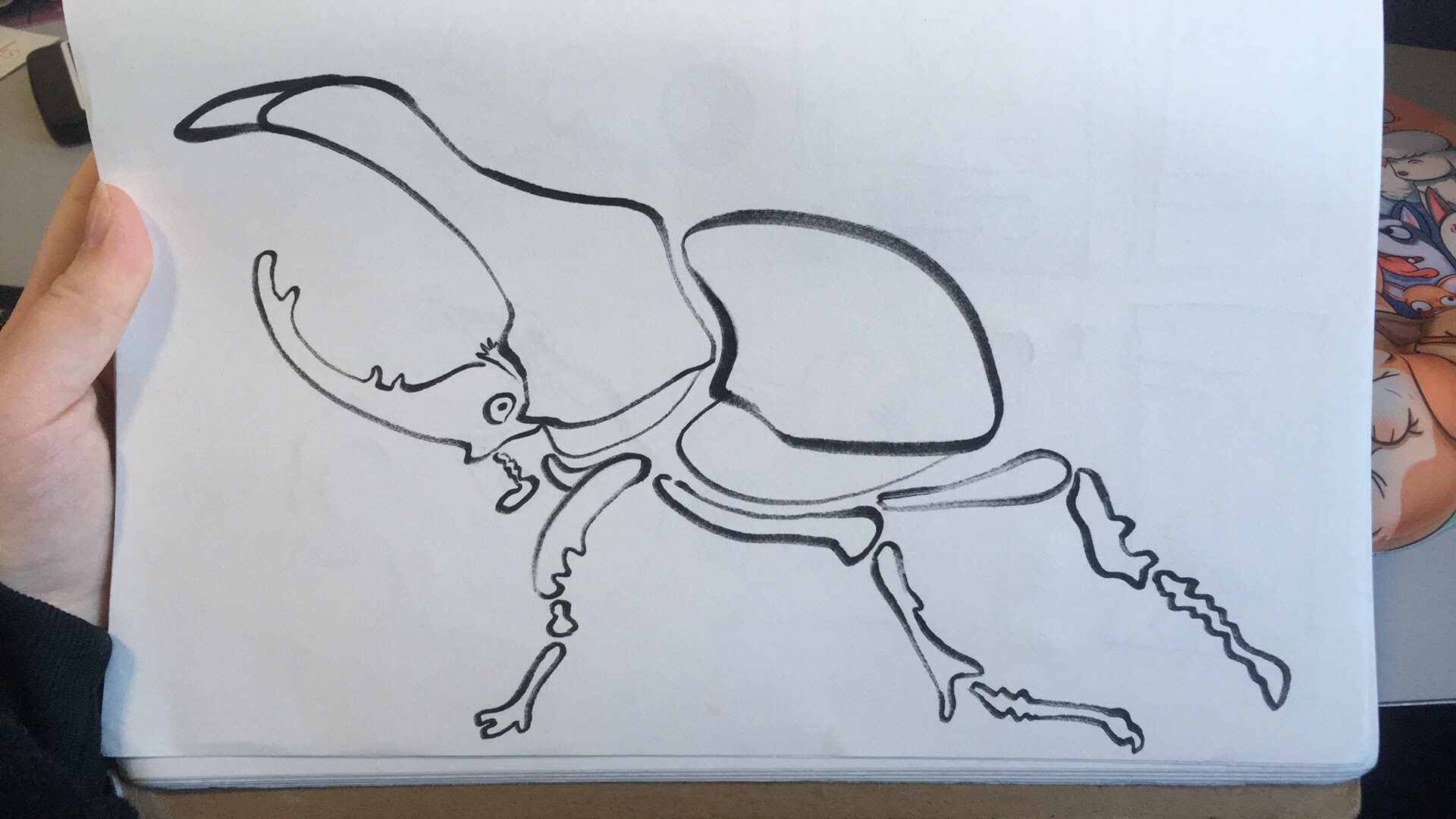 Beetle Drawing