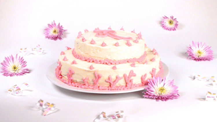 Roobee-Cake.gif