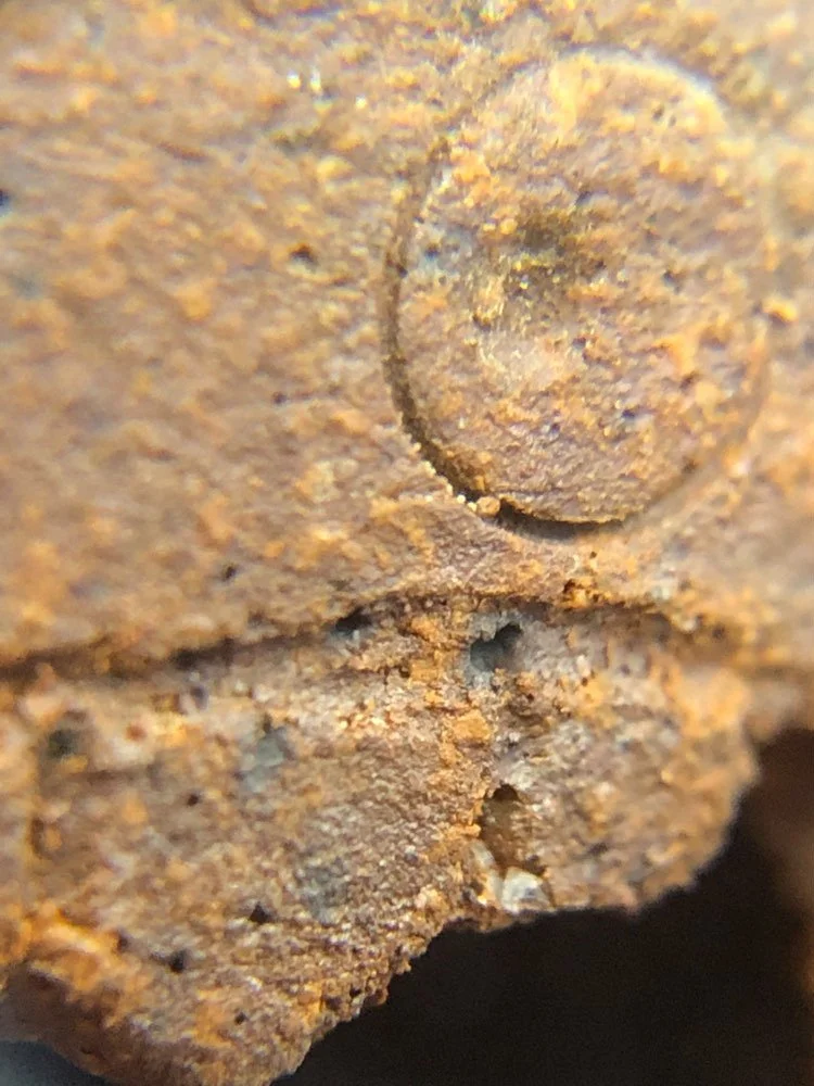 Closeup  by Tuna of a teapot face.