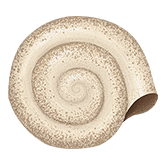 Connection Shell.png