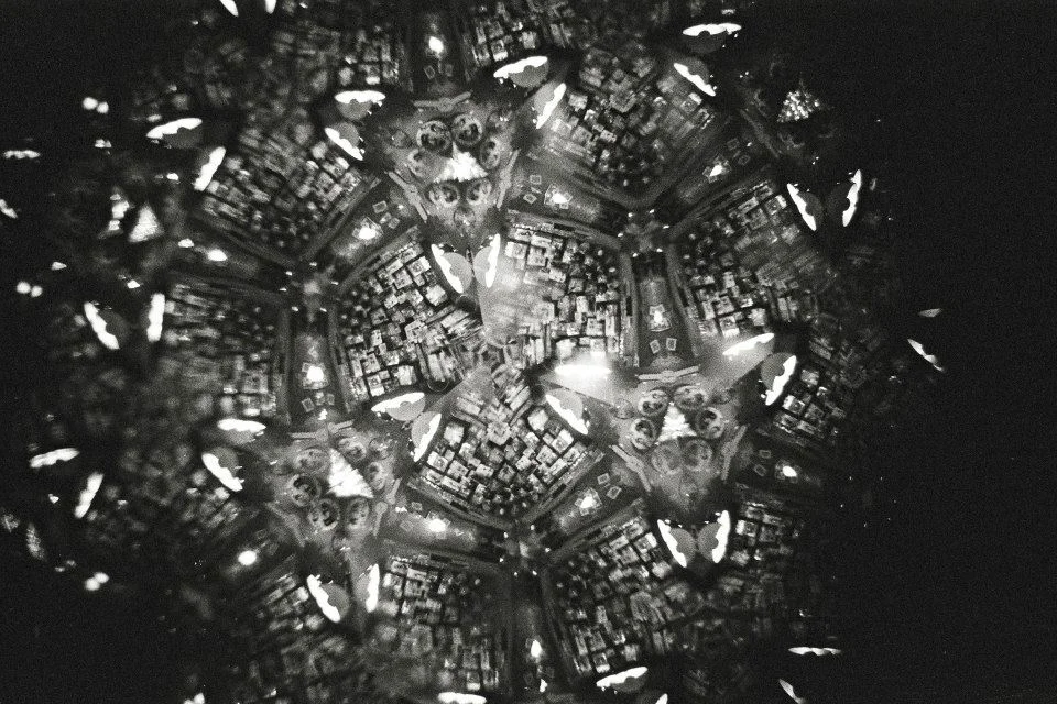 998756_10151804616137359_948140580_n.jpg