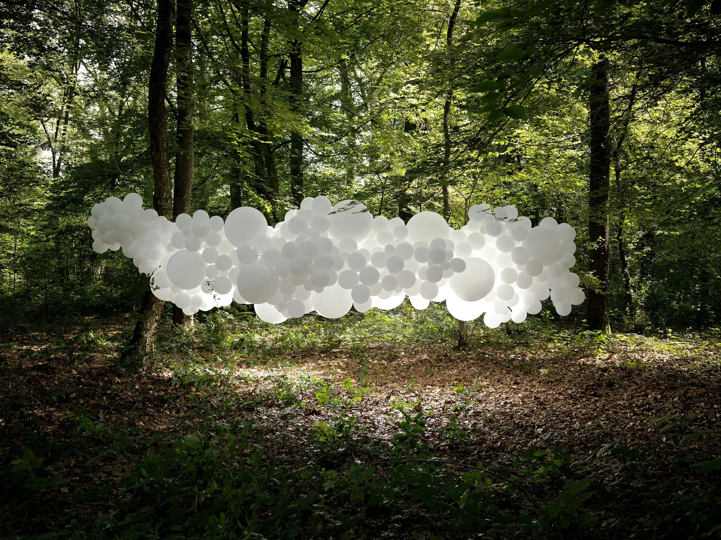 ©Charles Pétillon "MUTATUONS"