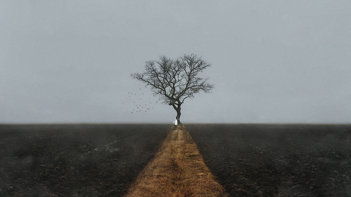 ©Serget Fett "Мёртвое дерево"
