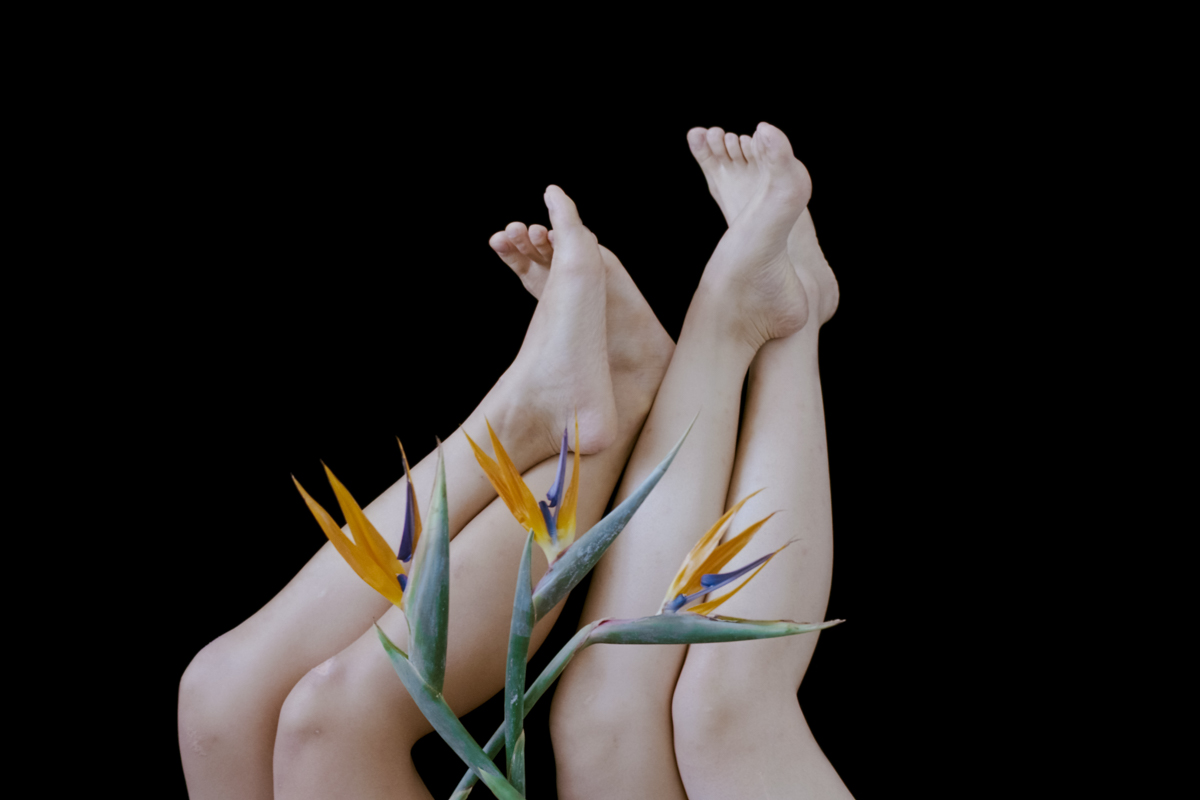 ©談瑞婷 Bella Tam,《靜物畫 Nature Morte》, 2018