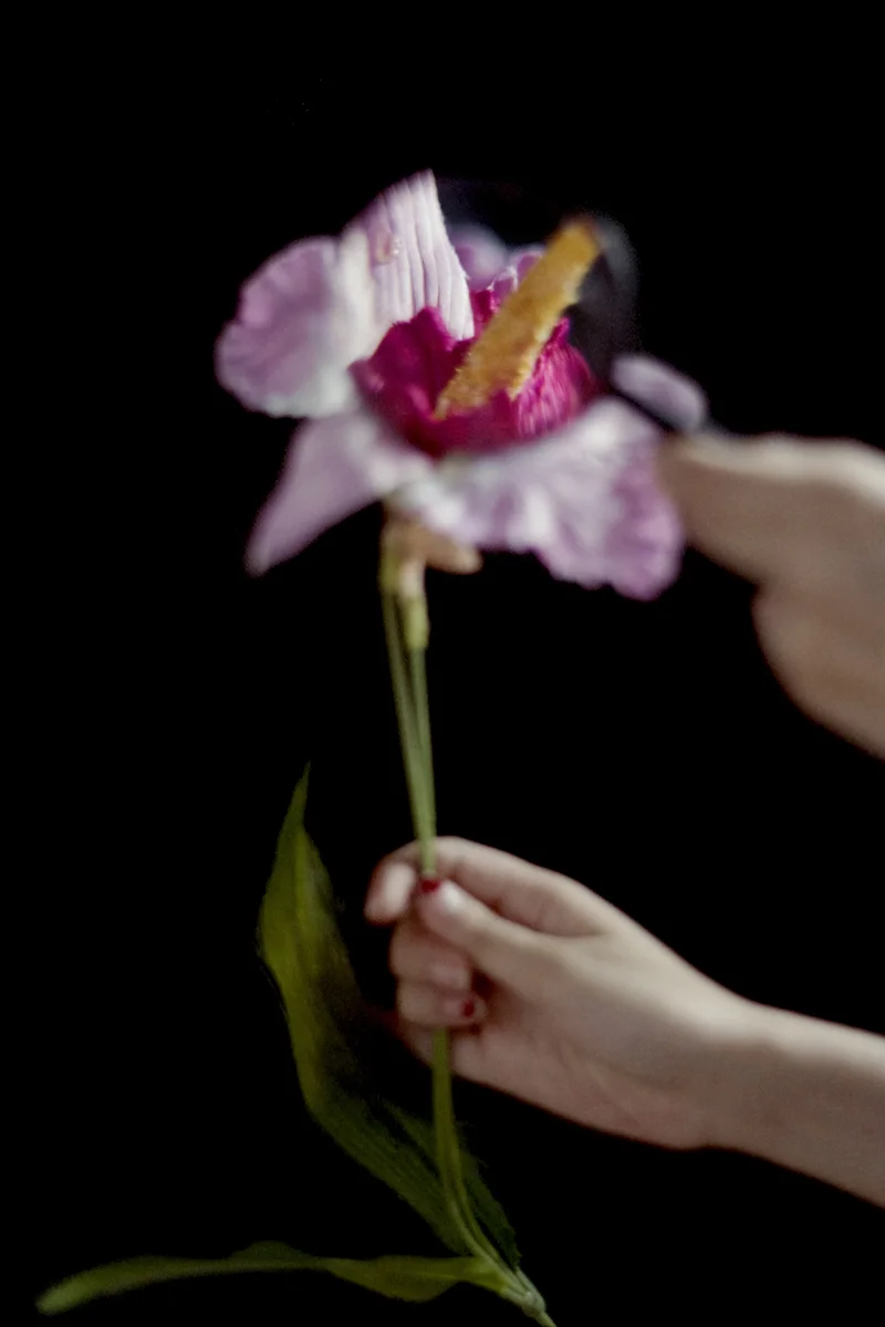 ©談瑞婷 Bella Tam,《靜物畫 Nature Morte》, 2018