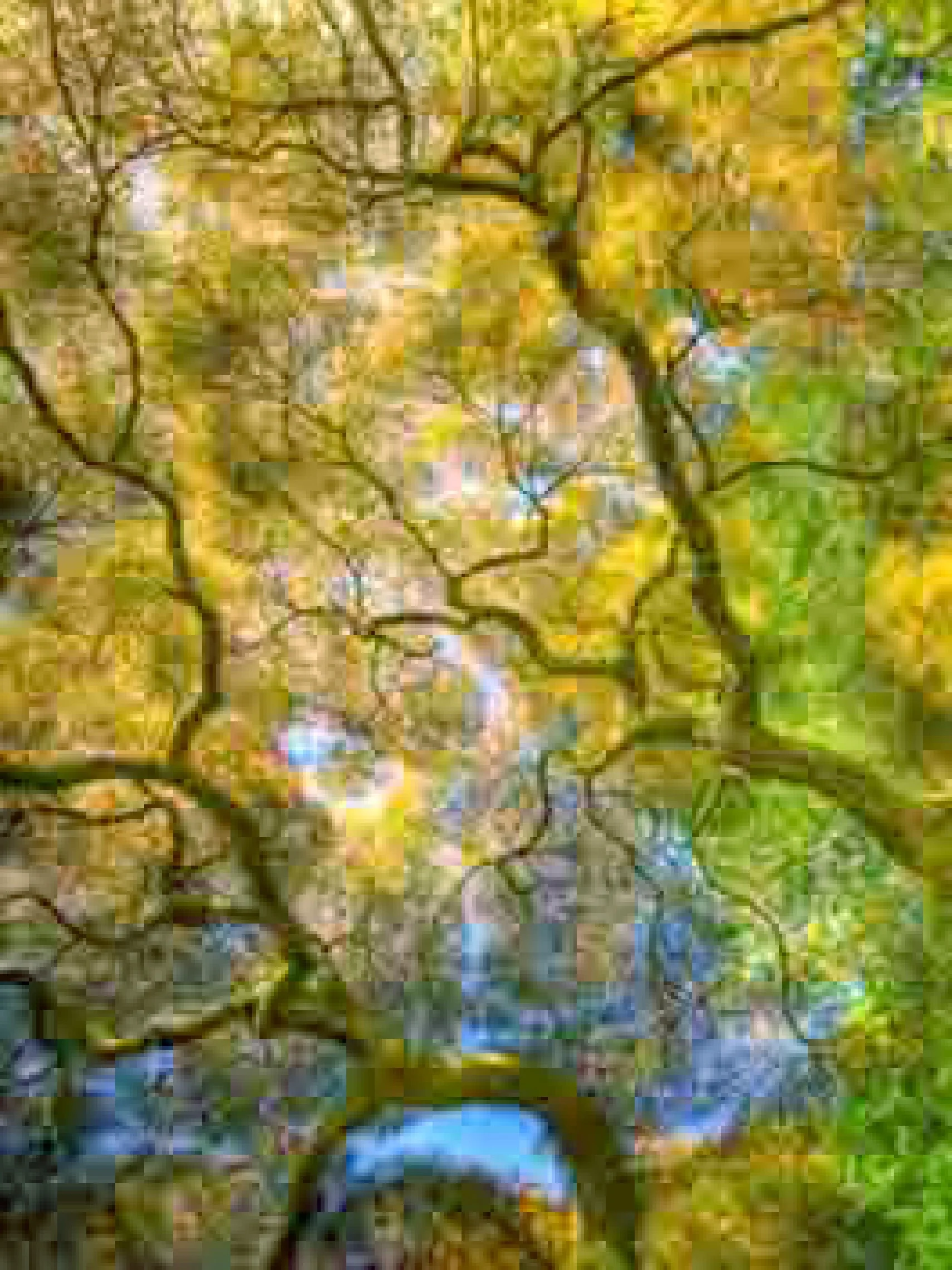©Thomas Ruff, jpeg tr05, 2019. Courtesy the artist and David Zwirner