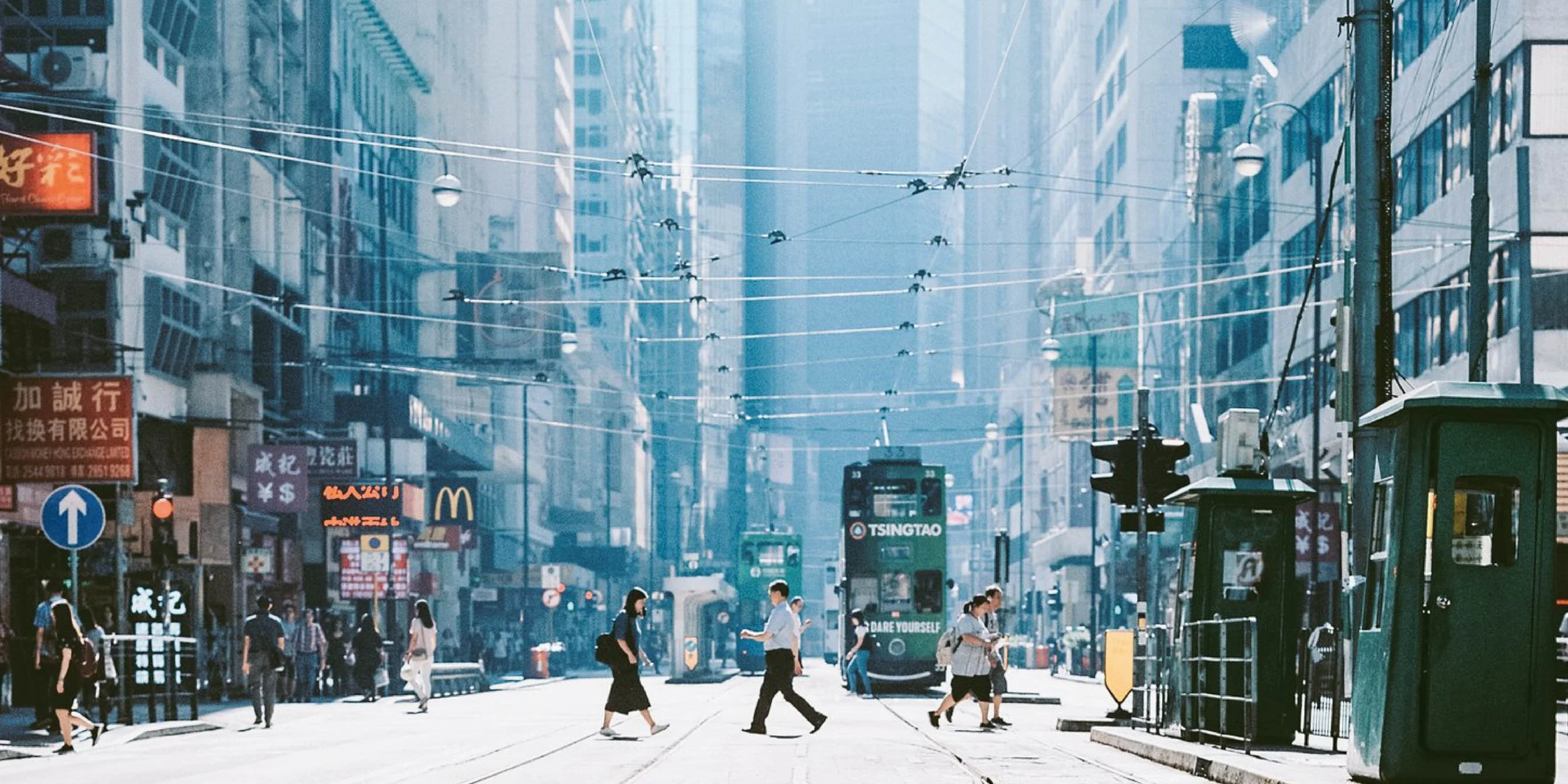 Wilson Lee   平和小日子