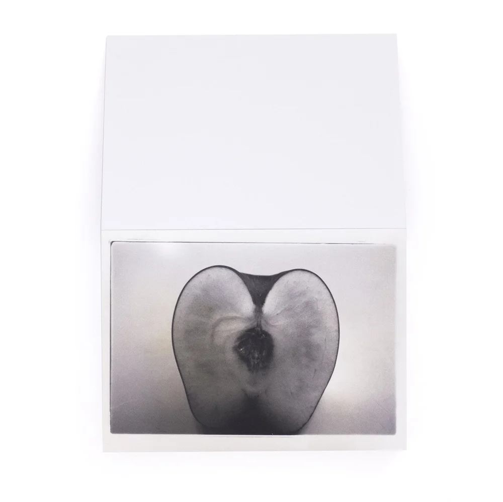 愛の劇場Theater of Love》荒木経惟Nobuyoshi ARAKI — Project RAW
