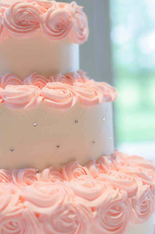 hopkinswedding (2).jpg